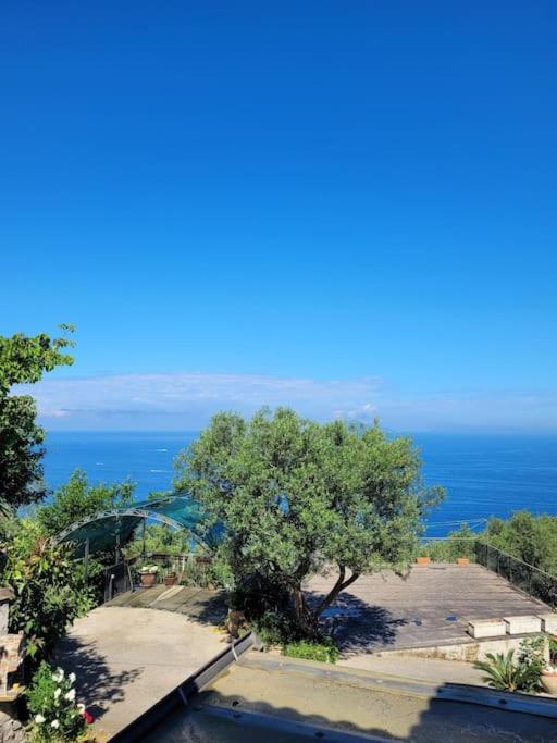 Sun & Relax, Relaxing Location With Seaview Villa Massa Lubrense Eksteriør billede