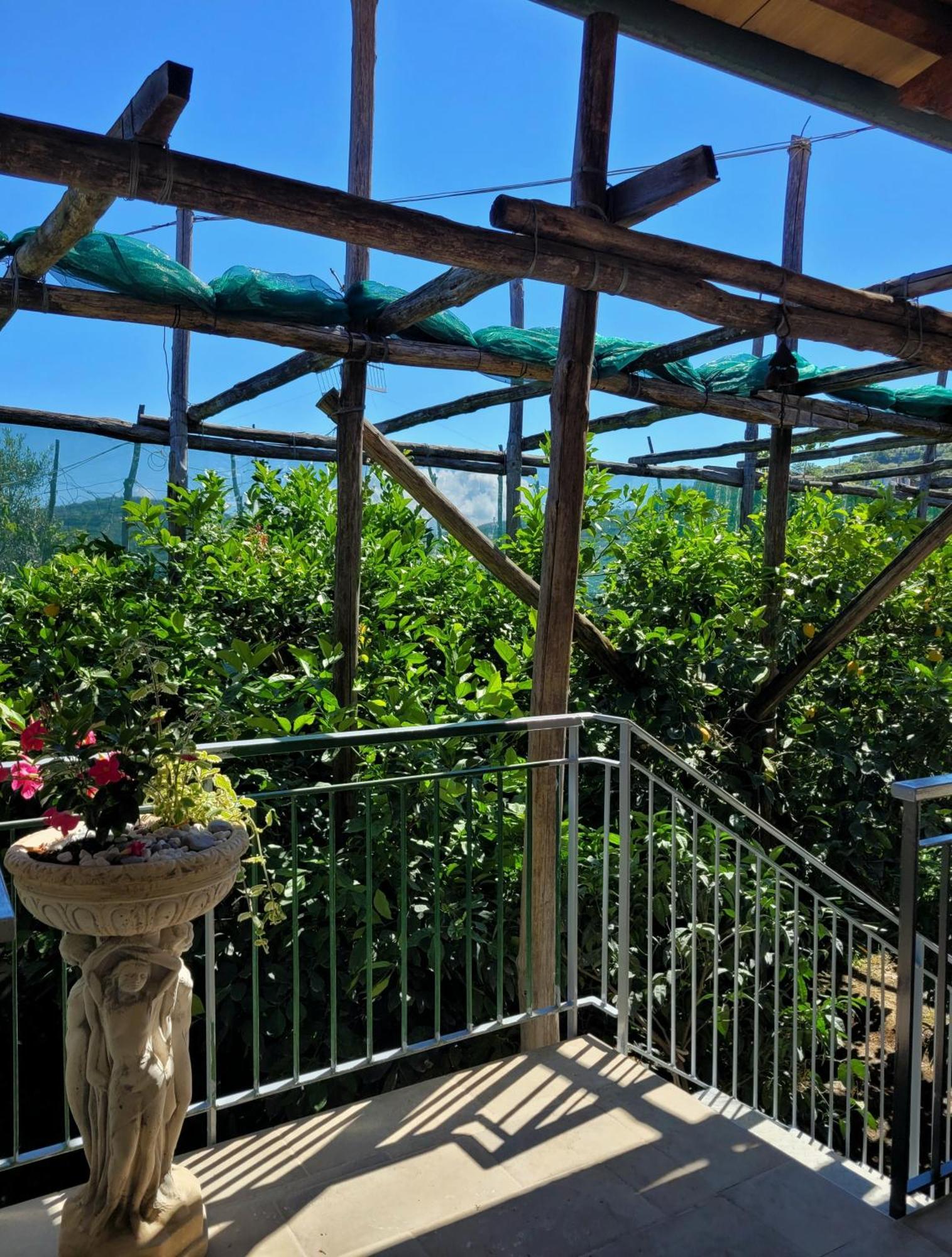 Sun & Relax, Relaxing Location With Seaview Villa Massa Lubrense Eksteriør billede